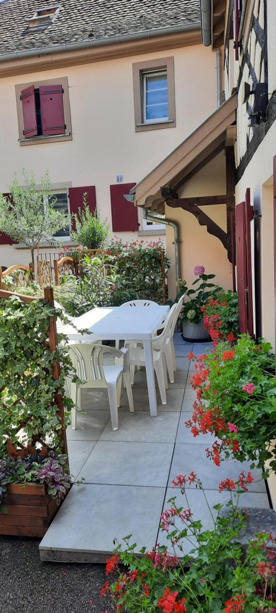 Le Repaire Des Hirondelles - Le Colombage Villa Scharrachbergheim-Irmstett Bagian luar foto