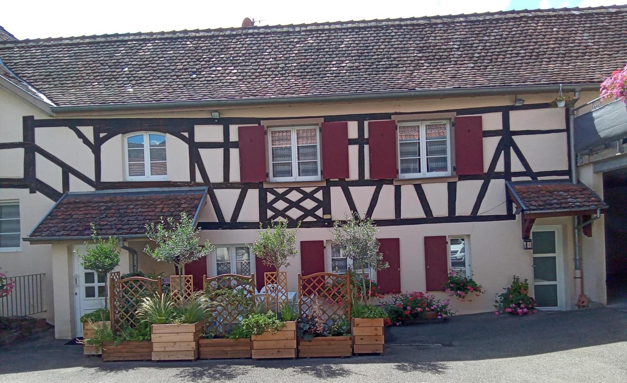 Le Repaire Des Hirondelles - Le Colombage Villa Scharrachbergheim-Irmstett Bagian luar foto