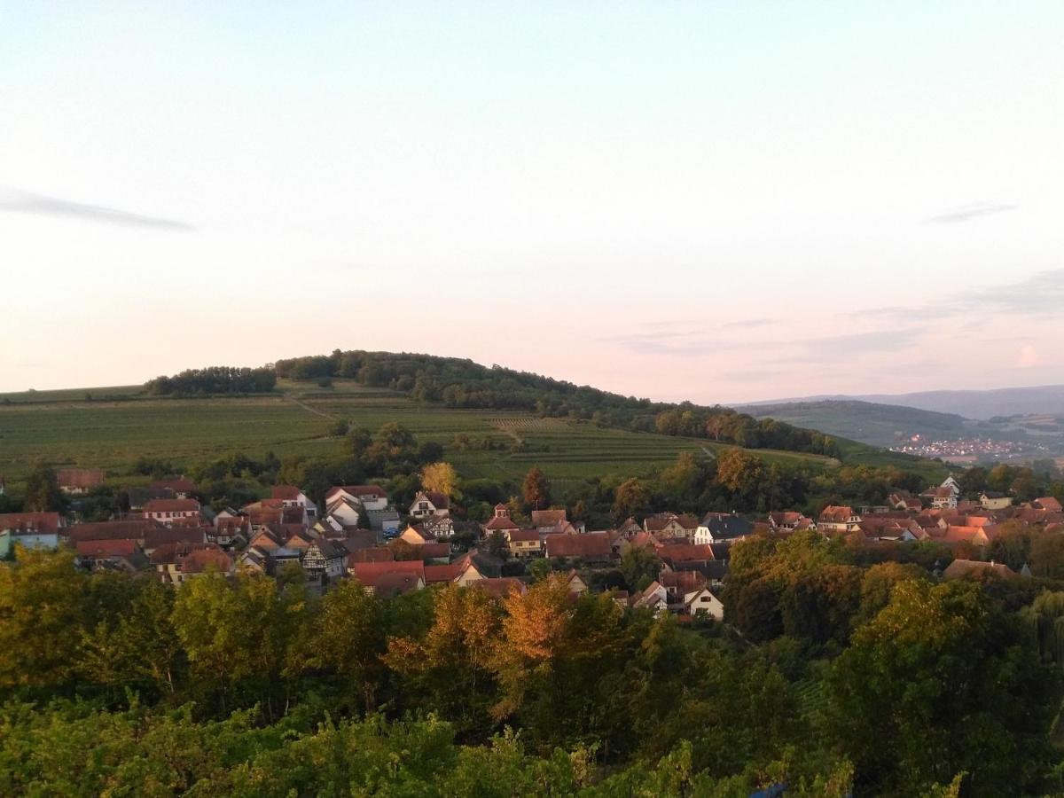 Le Repaire Des Hirondelles - Le Colombage Villa Scharrachbergheim-Irmstett Bagian luar foto